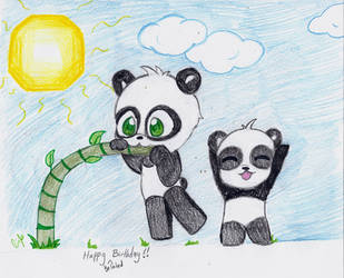 Birthday Pandas!!!