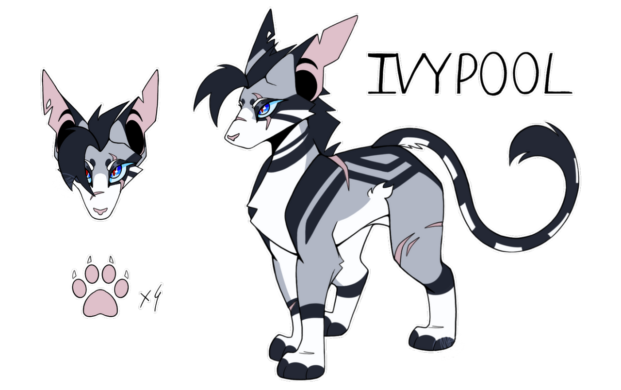 Ivypool Design Ivypool Design by LunaTuna16 on DeviantArt