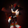 Sonic Boom:Shadow