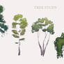 Tree Study