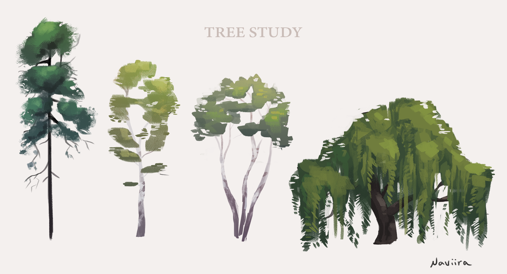 Tree Study