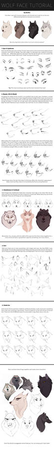 Wolf Face Tutorial