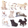 Highvalley Chibis