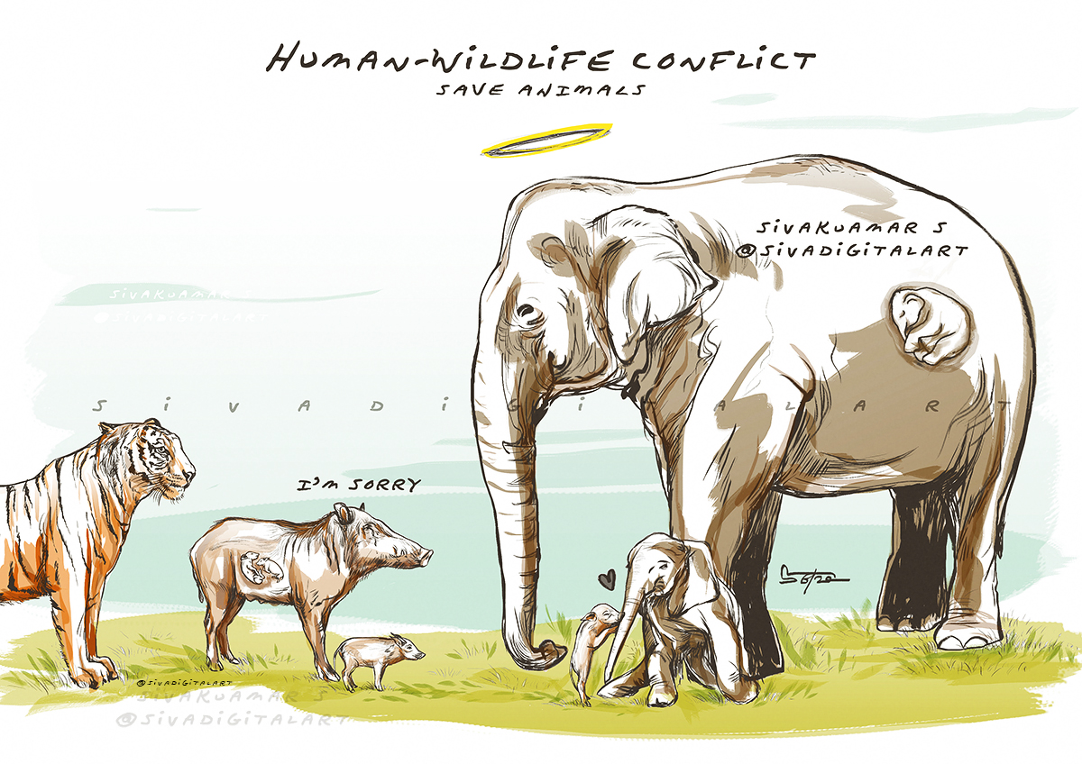 Human-Wildlife Conflict | Save Animals by sivadigitalart on DeviantArt