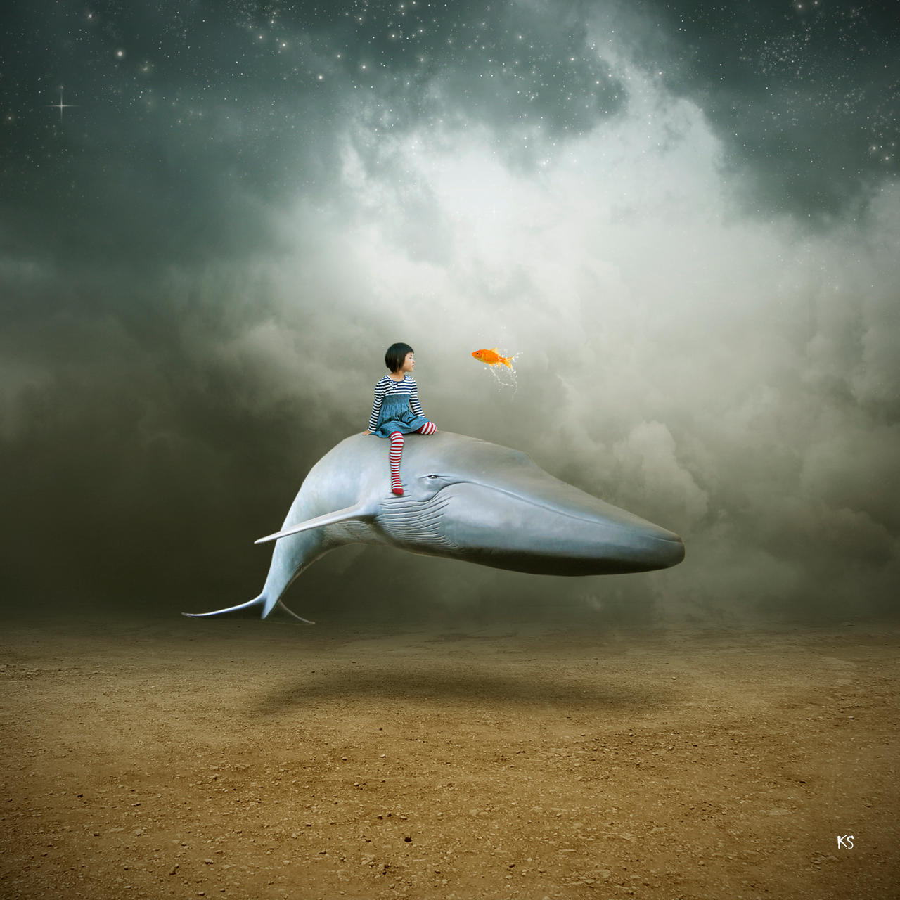 whale by Silvia15