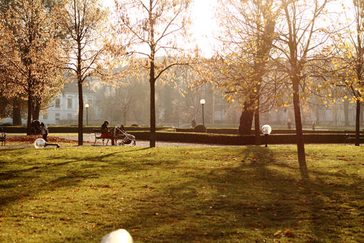 Autumn in President's Garden