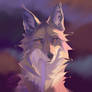 Coyote + SPEEDPAINT