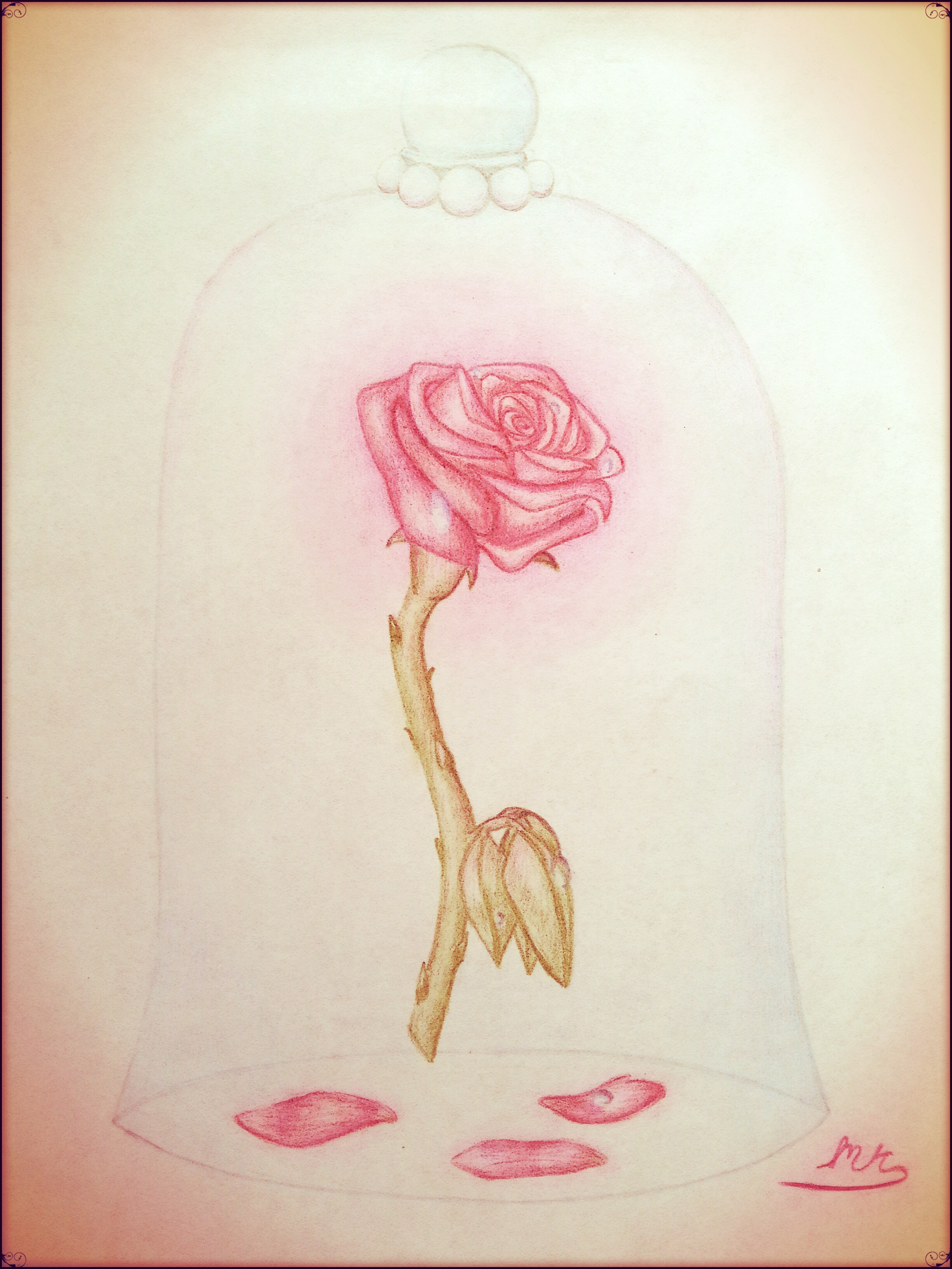 Beauty And The Beast Rose Drawing Drawing Art Ideas