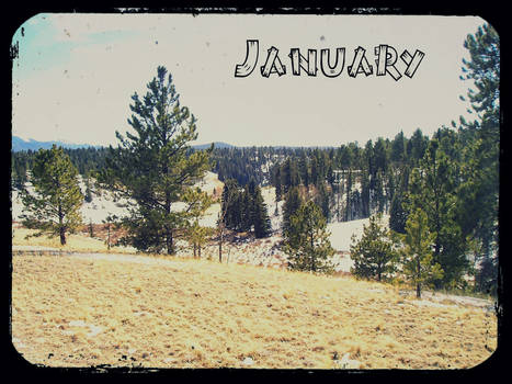 Month Photo - January