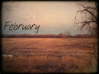 Month Photo - February