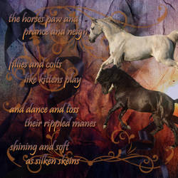 Horse Poem