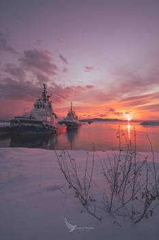 January sunset with the tugboats