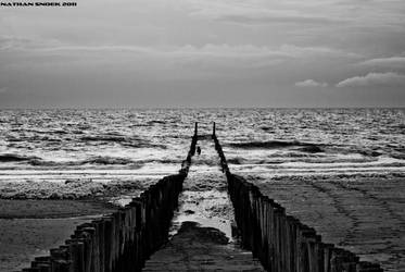 Poles in the water