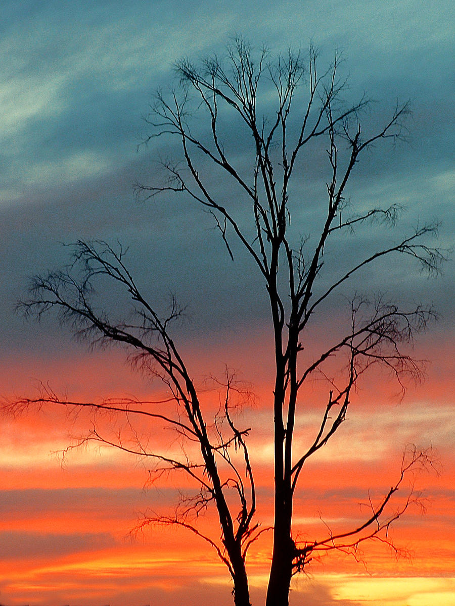 Lodewyk W Goosen-Photography