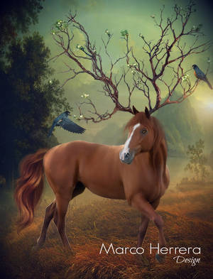 Spirit by MarcoHerrera Spirit by MarcoHerrera