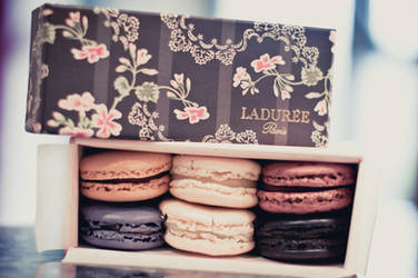Laduree Macaroons by MMortAH