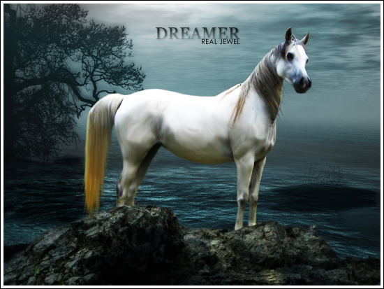 dreamer-x