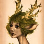 Ivy Fawn