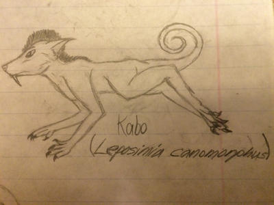 Kabo (Leposimian) 