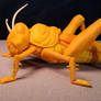 Grasshopper Pumpkin Sculpt - Happy Halloween 2025