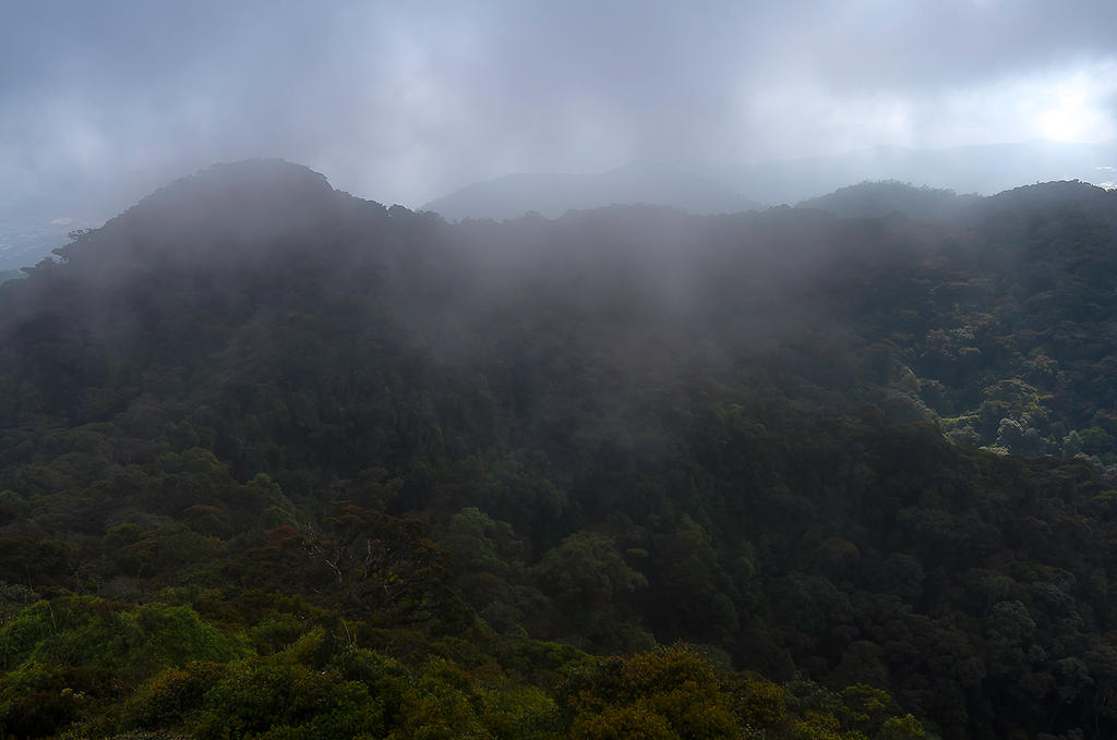 Cameron Heights (Malaysia) by Hundmang on DeviantArt