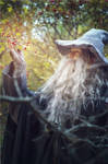 The Lord of the Ring cosplay. Gandalf