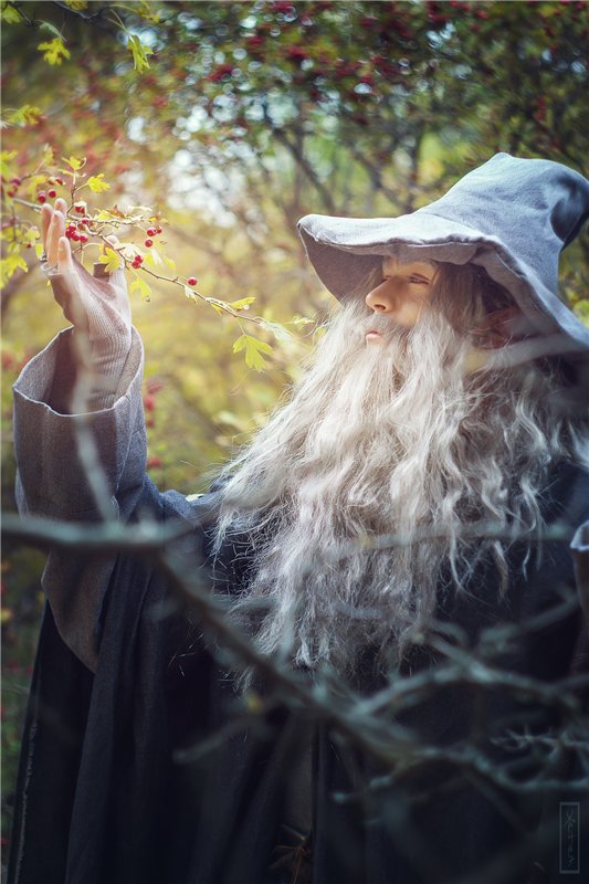 The Lord of the Ring cosplay. Gandalf