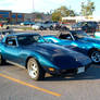 Two blue Stingrays