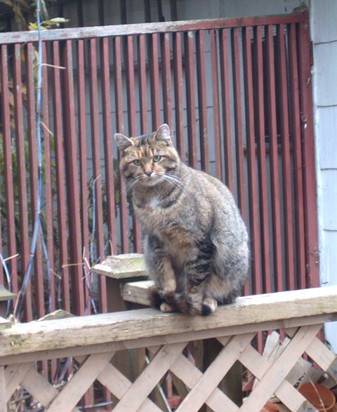 Sally on the railing