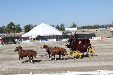 WEG Stagecoach Stock 2