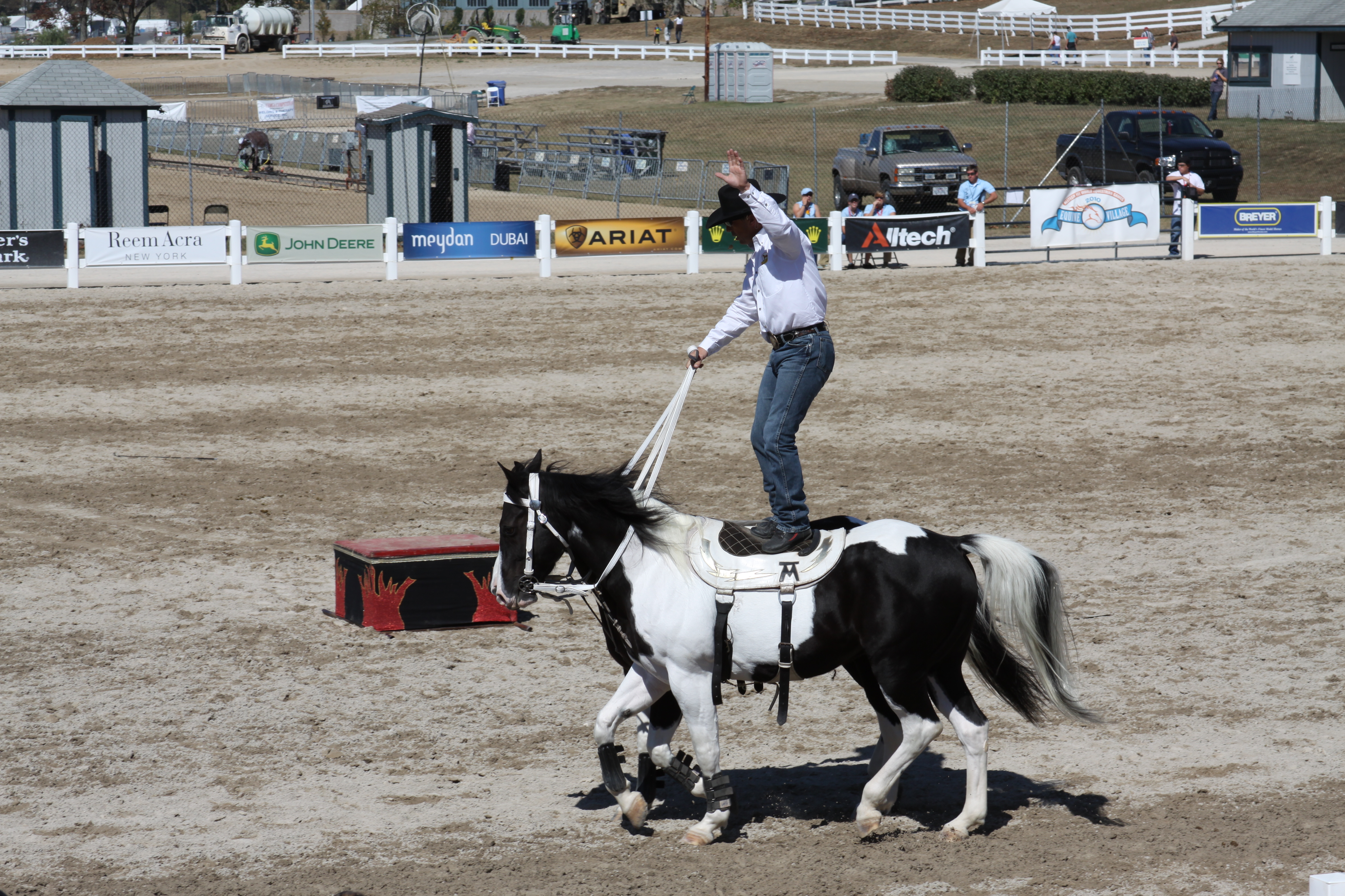 WEG Roman Riding Stock 3