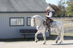 WEG2010 Horse and Rider 2Stock