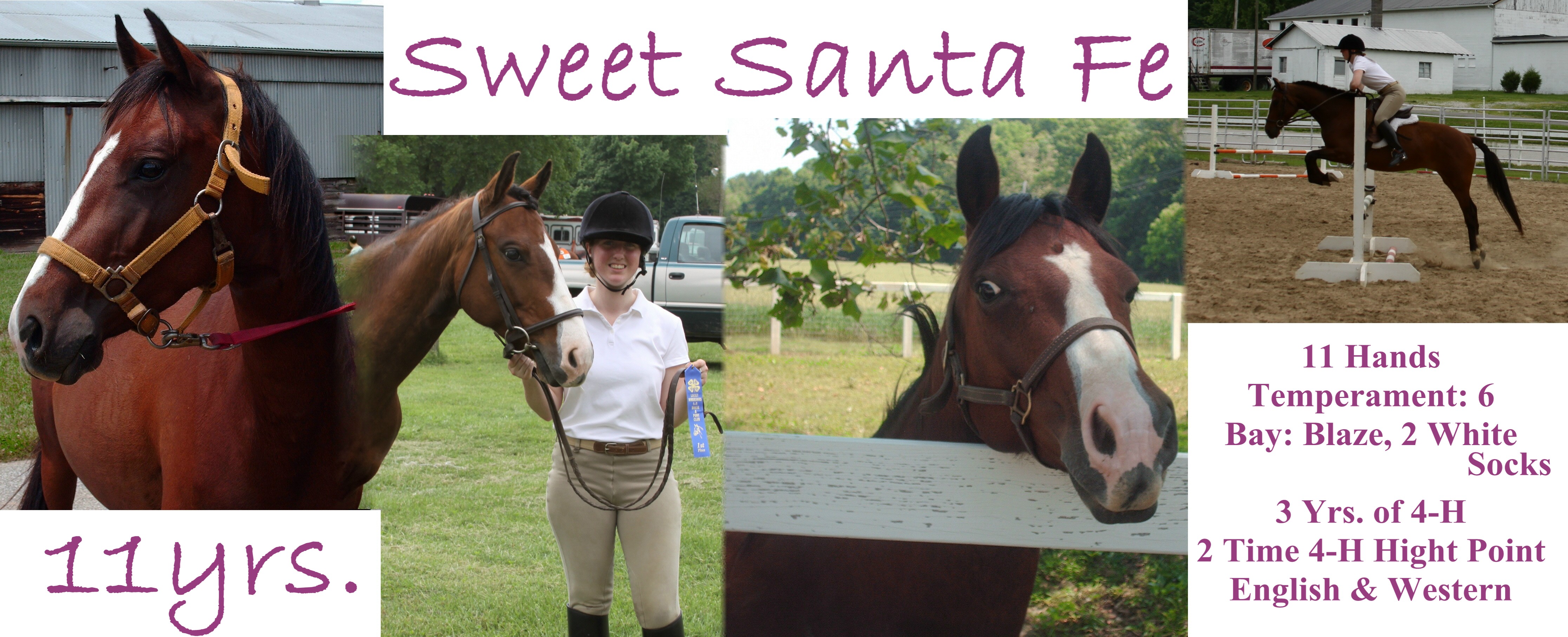 Horse Lease ~ Sweet Santa Fe