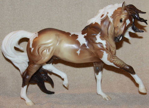 Breyer - Samba Surprise - Stock