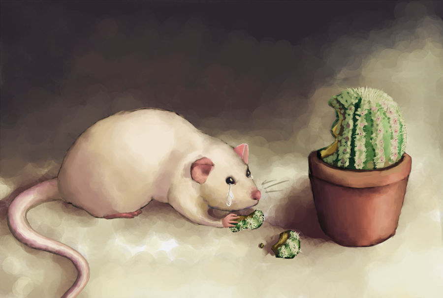 Rats are still eating cactus