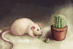 Rats are still eating cactus by Rezuri88