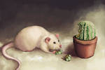 Rats are still eating cactus by Rezuri88