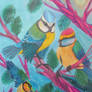 country birds
