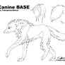 Canine Base