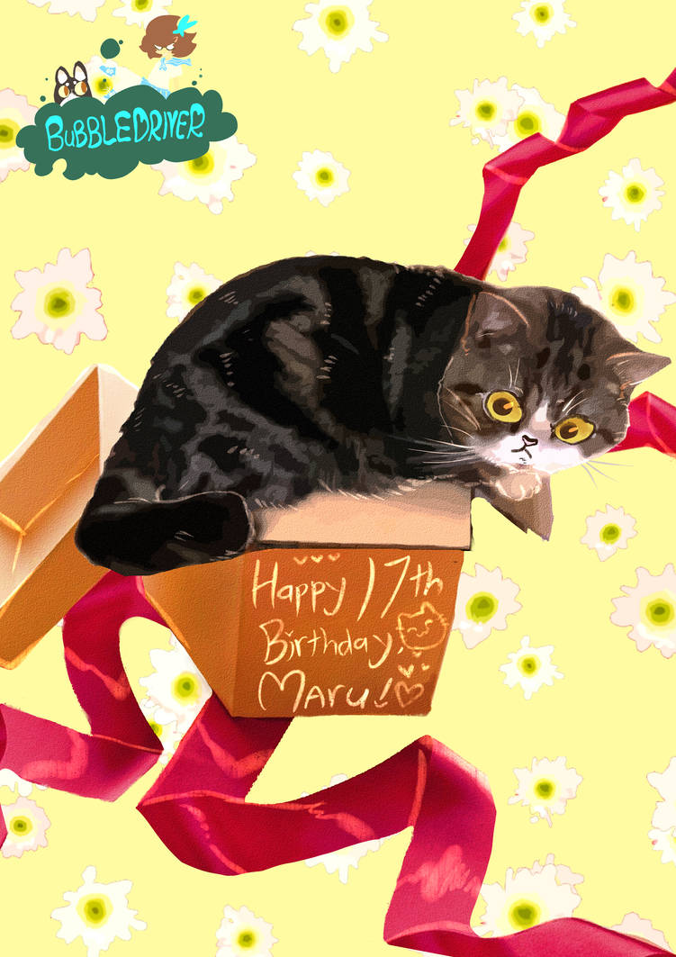 Happy 17th Birthday Maru by BubbleDriver on DeviantArt