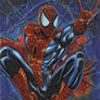 Spider Man sketch card 2012A