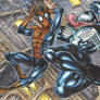 Spider Man and Venom Sketch Card puzzle