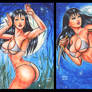 FIRE AND ICE TEEGRA PERSONAL SKETCH CARDS