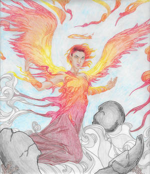 Download Yoliee Hobbyist Traditional Artist Deviantart