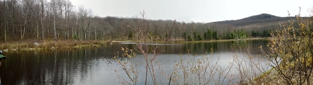 Abby Pond Hike (7)