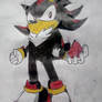 Shadow and his damn 4th Chaos Emerald