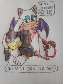 Rouge The Bat and Shadow The Hedgehog