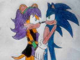 CE: SonicXMina