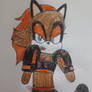 Cameron the Raccoon