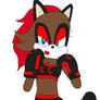 Cameron the Raccoon